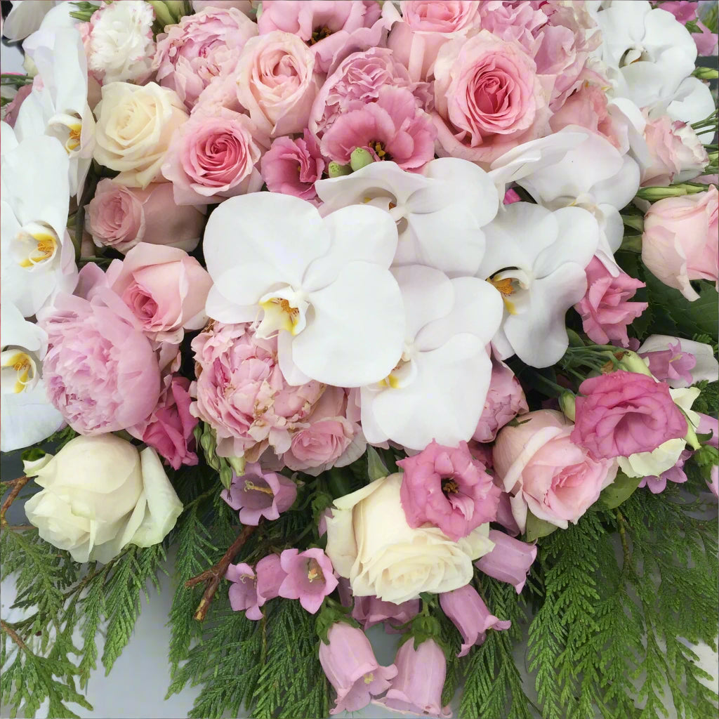 Pastel Dreams - Bloomy Canberra