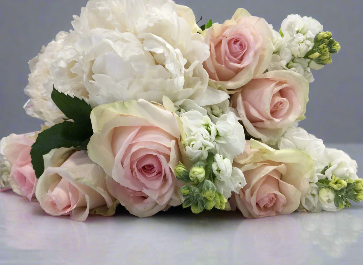 Pastel Dreams - Bloomy Canberra