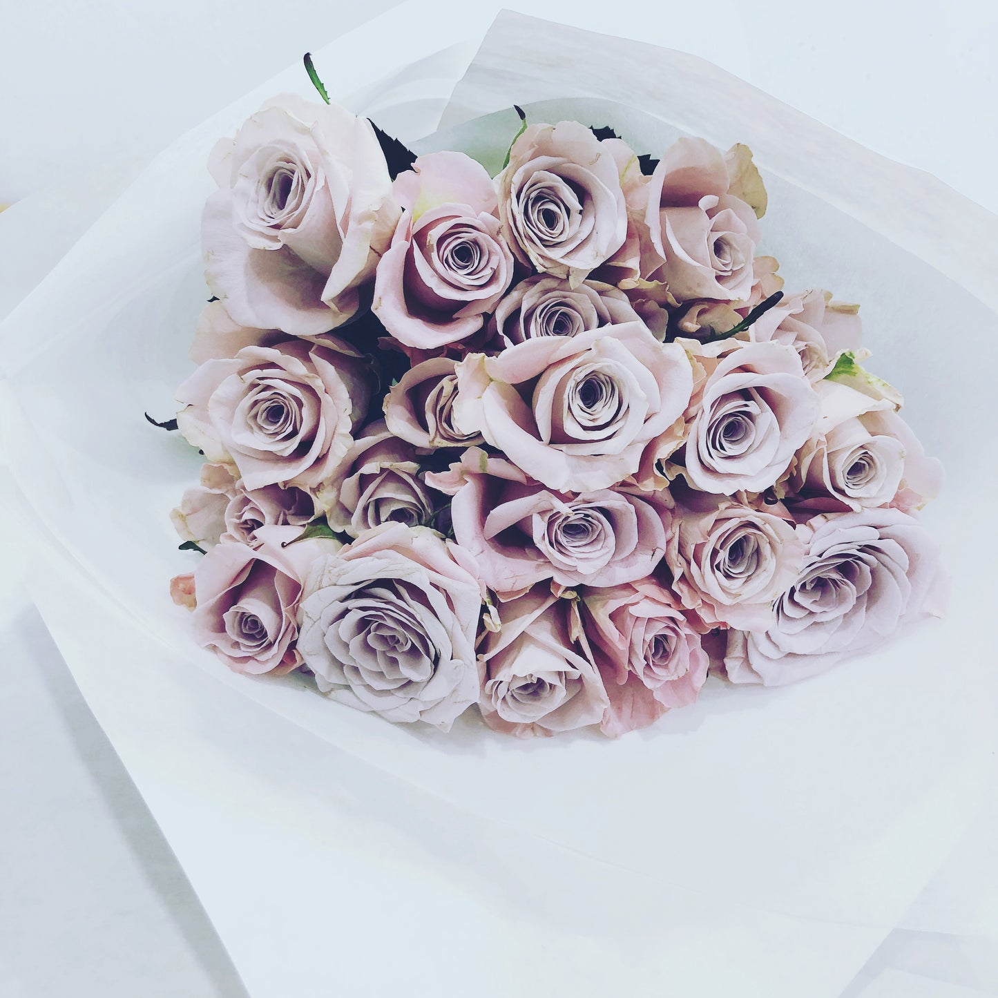 Bloomy Roses - Bloomy Canberra