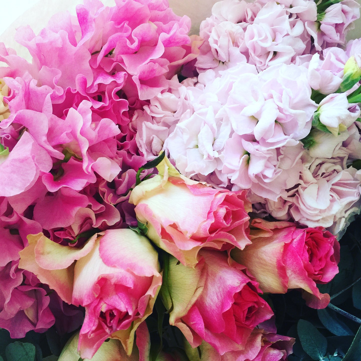 Florist Choice - Bloomy Canberra