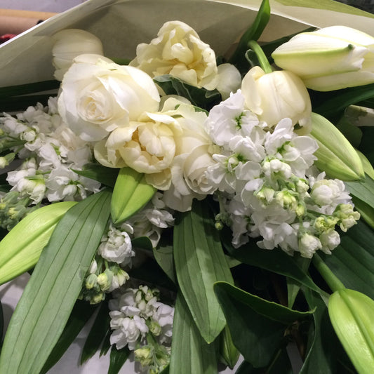 White and Green - Bloomy Canberra
