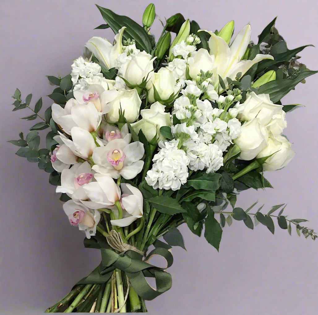 Big Bloomy - Bloomy Canberra