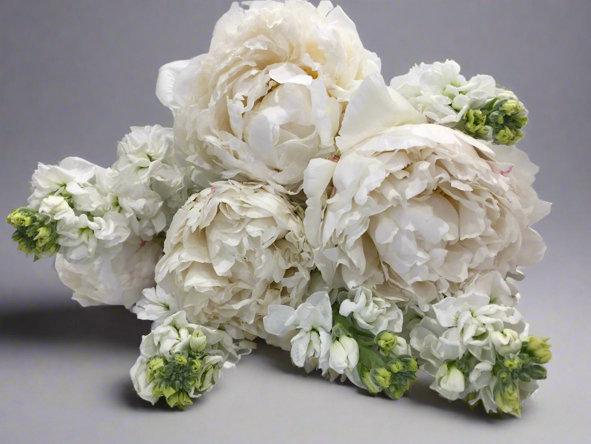 Florist Choice - Bloomy Canberra